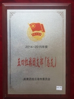 2014-2015年度五四红旗团支部（总支）
